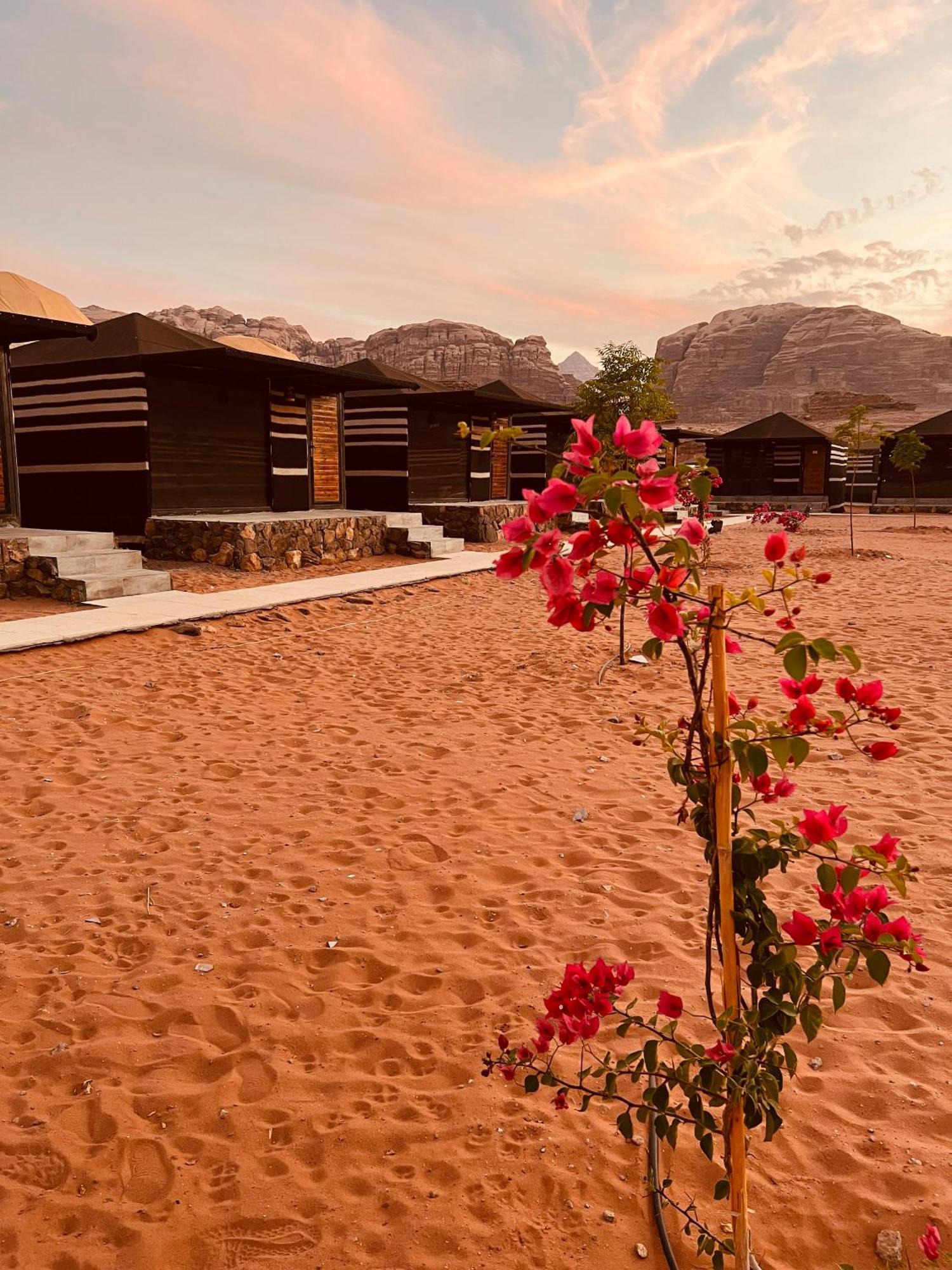 Revan Rum Luxury Camp Ram Vadisi Dış mekan fotoğraf