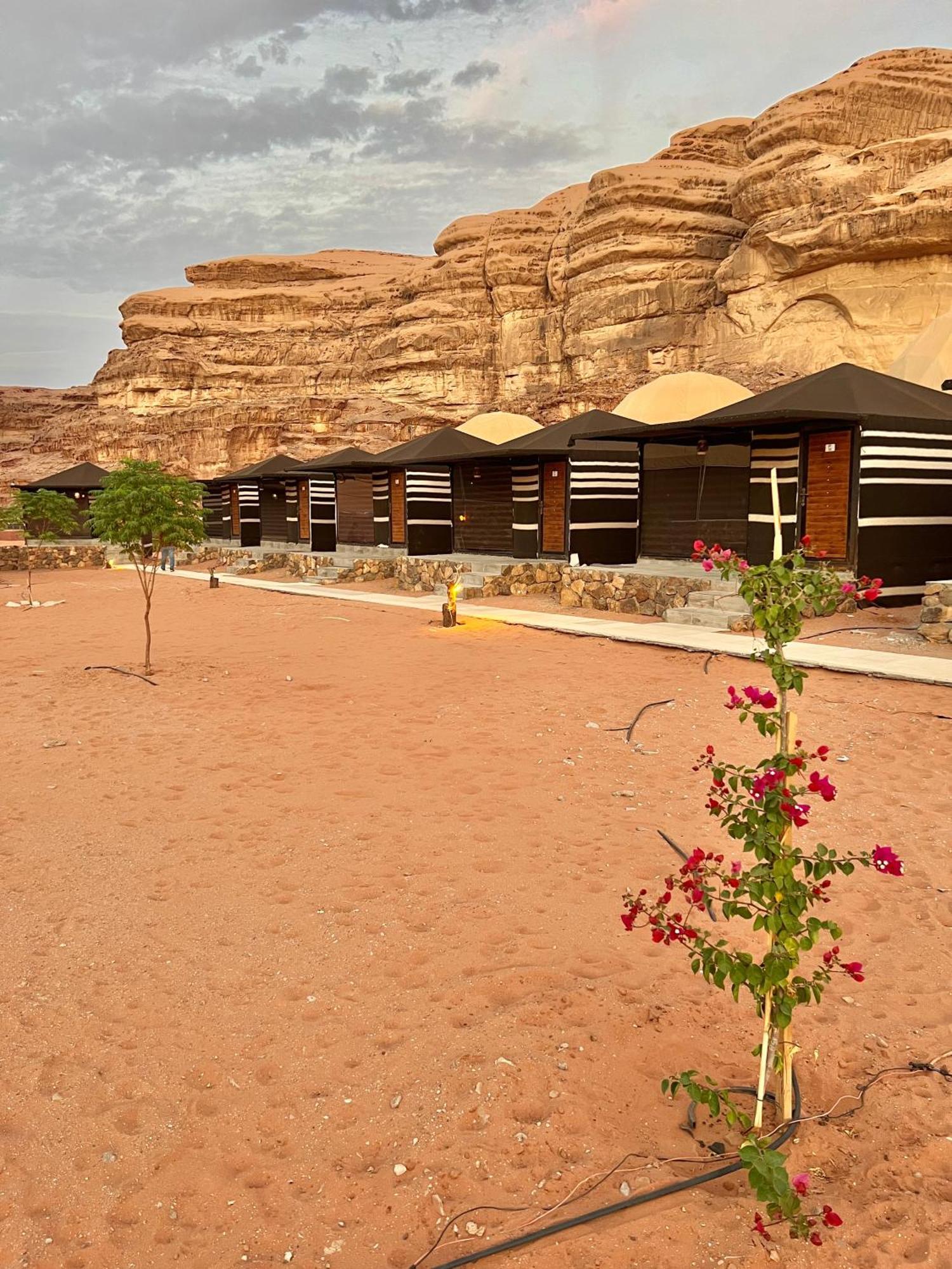 Revan Rum Luxury Camp Ram Vadisi Dış mekan fotoğraf