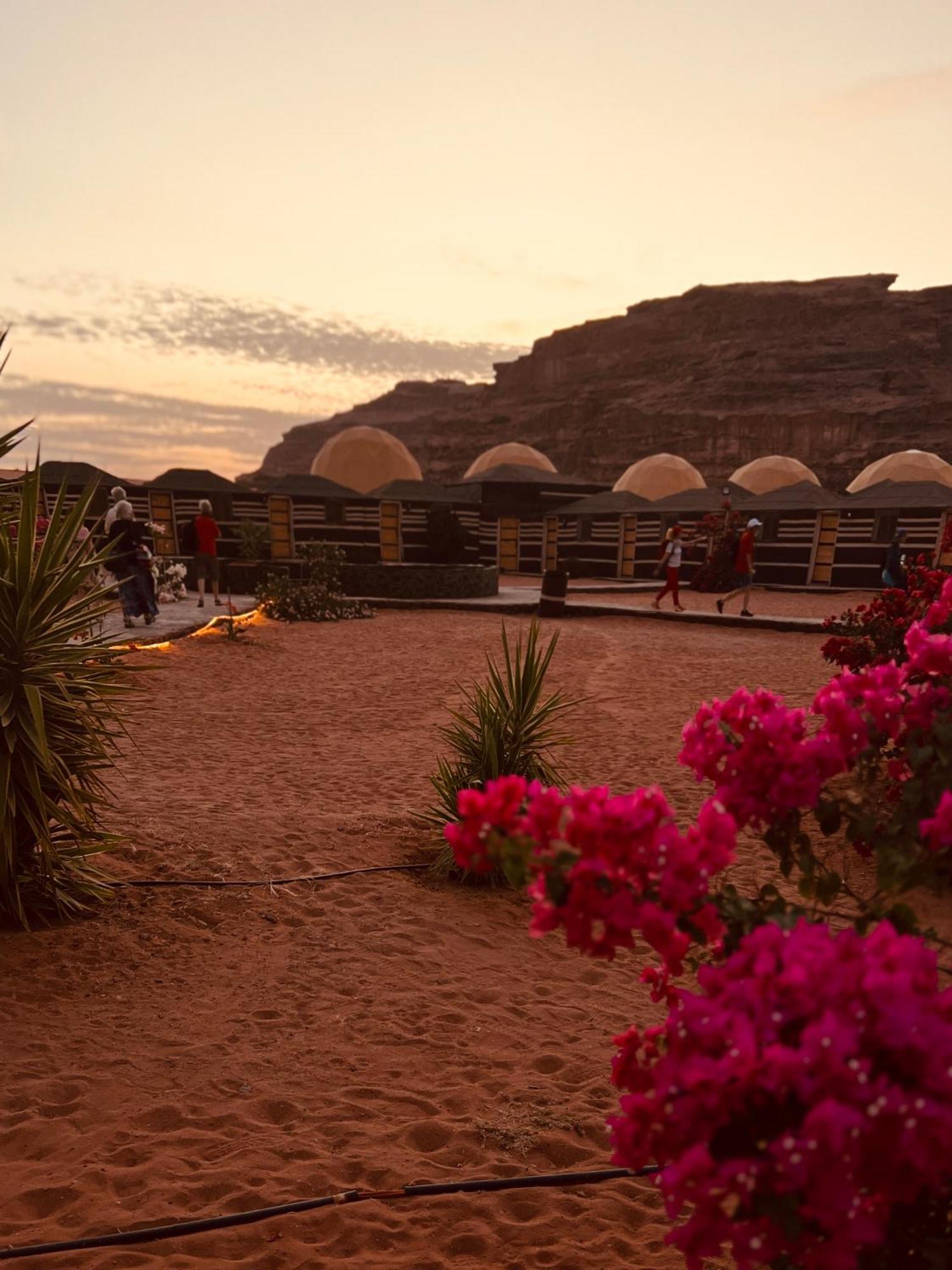 Revan Rum Luxury Camp Ram Vadisi Dış mekan fotoğraf