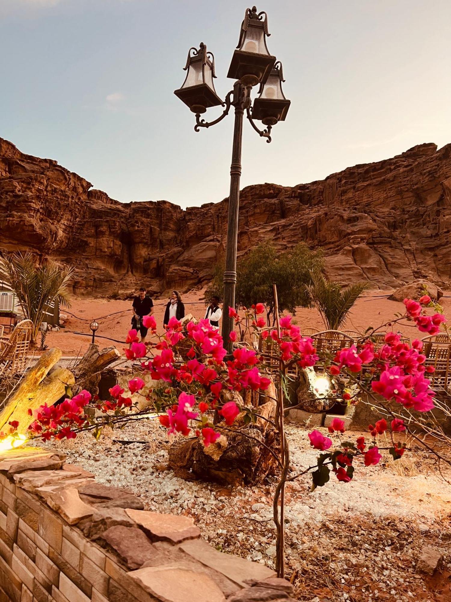 Revan Rum Luxury Camp Ram Vadisi Dış mekan fotoğraf