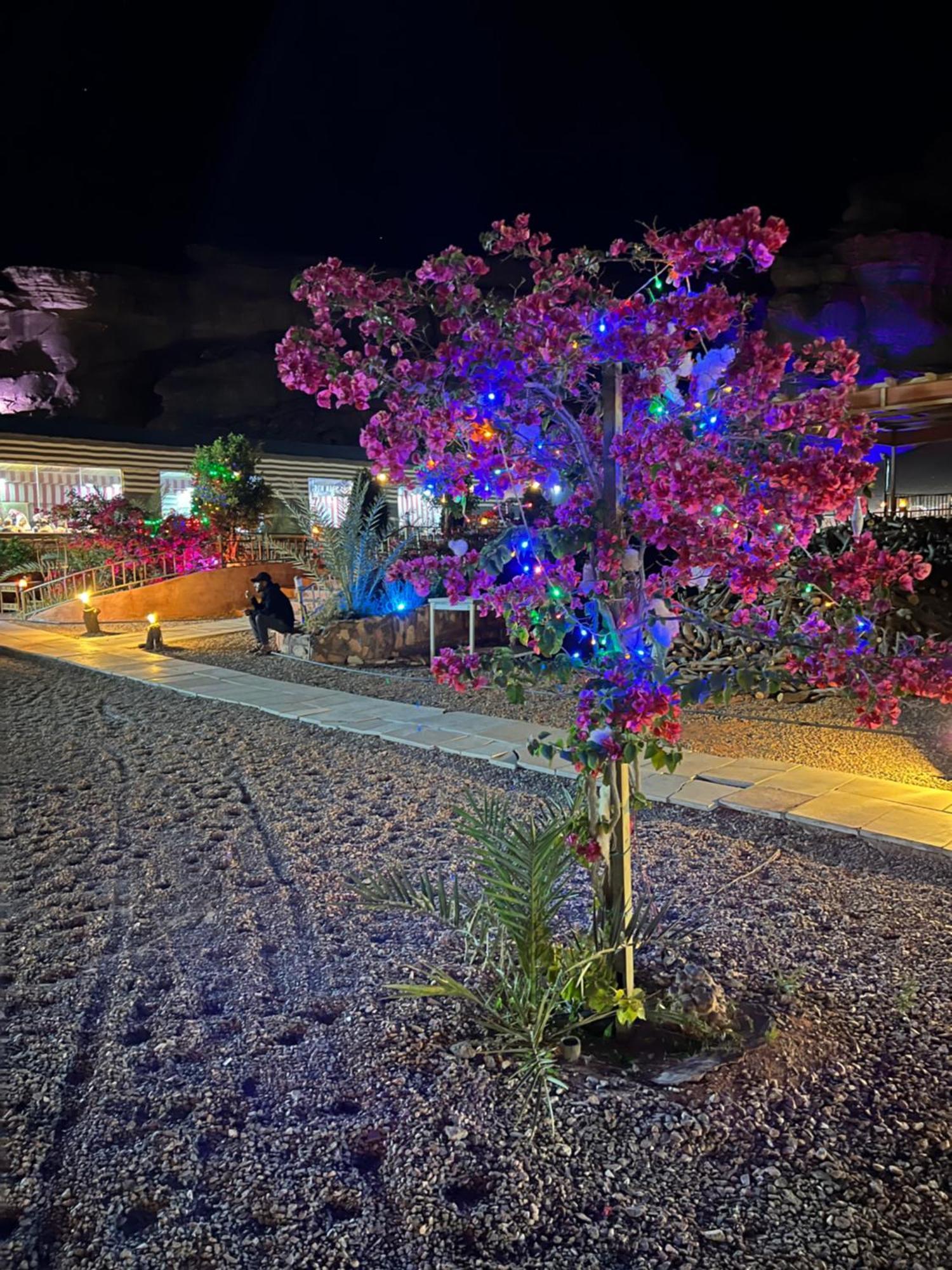 Revan Rum Luxury Camp Ram Vadisi Dış mekan fotoğraf